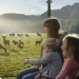Twee kinderen en een volwassene observeren een kudde herten vanuit een uitkijkpunt in de natuur.