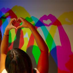 Museum of illusions