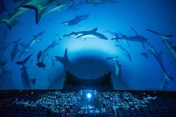 Beeld dome met haaien